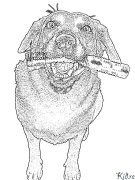 labrador retriever Coloring Pages To Print